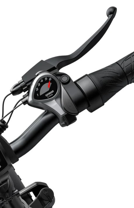 ENGWE EP-2 PRO EU | New Versione 2024 | Bicicletta elettrica | Ruote Fat | 48V 13Ah | Autonomia fino 100km | GARANZIA ITALIANA