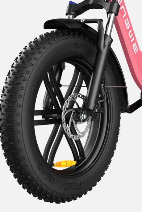 ENGWE L20 Boost | Bicicletta Elettrica | Versatile | Motore 250W | 48V 624wh | Sensore di coppia | 25km/h | Autonomia 126Km| GARANZIA ITALIANA