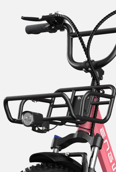 ENGWE L20 Boost | Bicicletta Elettrica | Versatile | Motore 250W | 48V 624wh | Sensore di coppia | 25km/h | Autonomia 126Km| GARANZIA ITALIANA